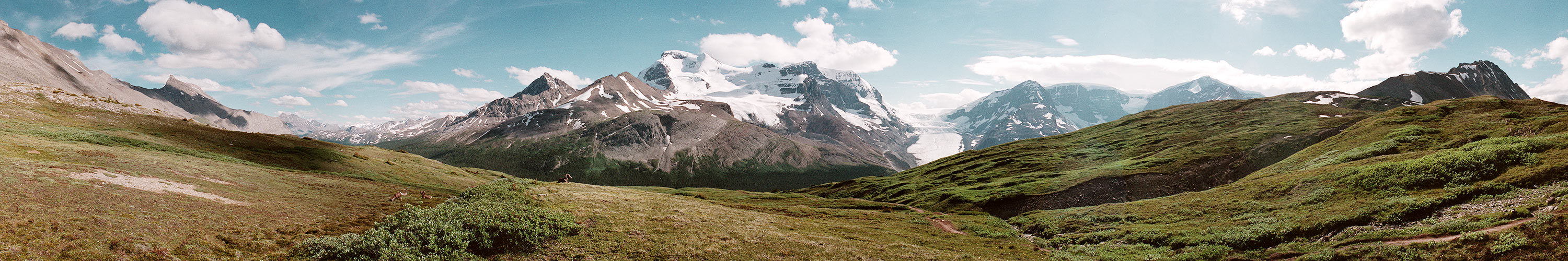 Wilcox Pass, Canada